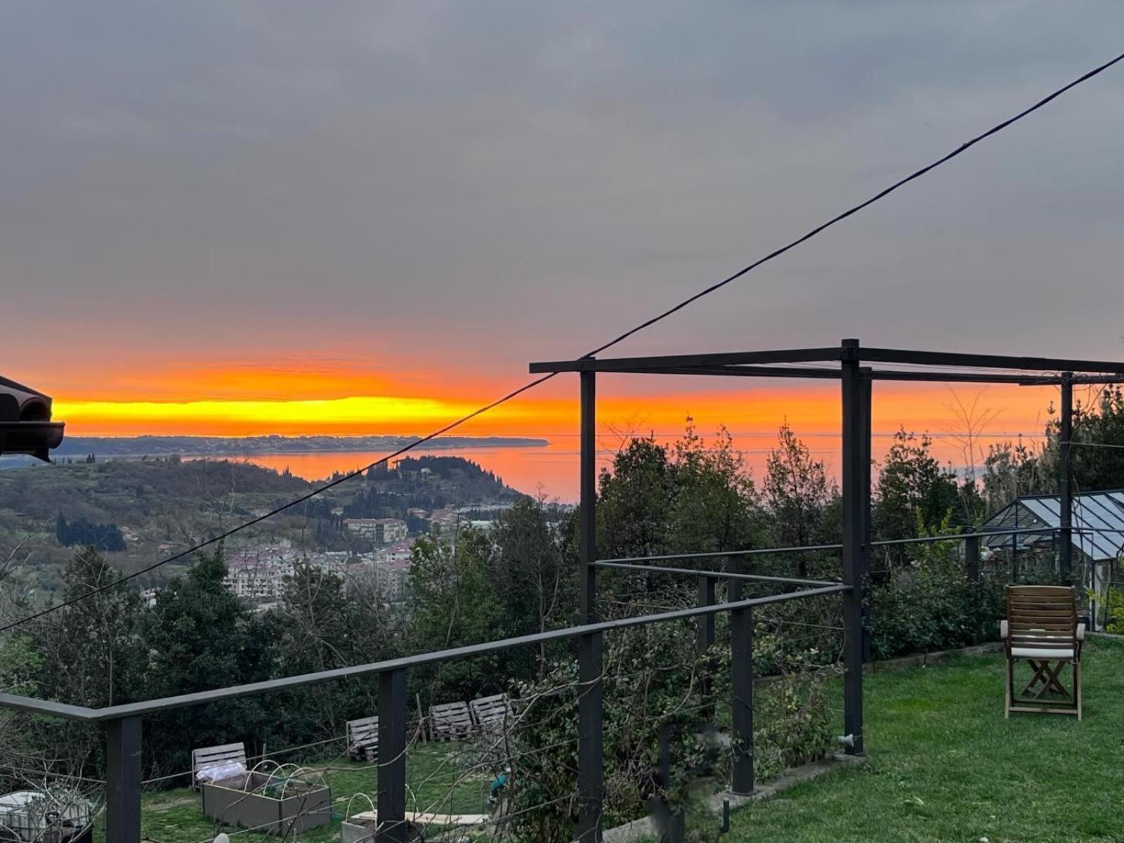 Sea View Olive Retreat Leilighet Portorož Eksteriør bilde