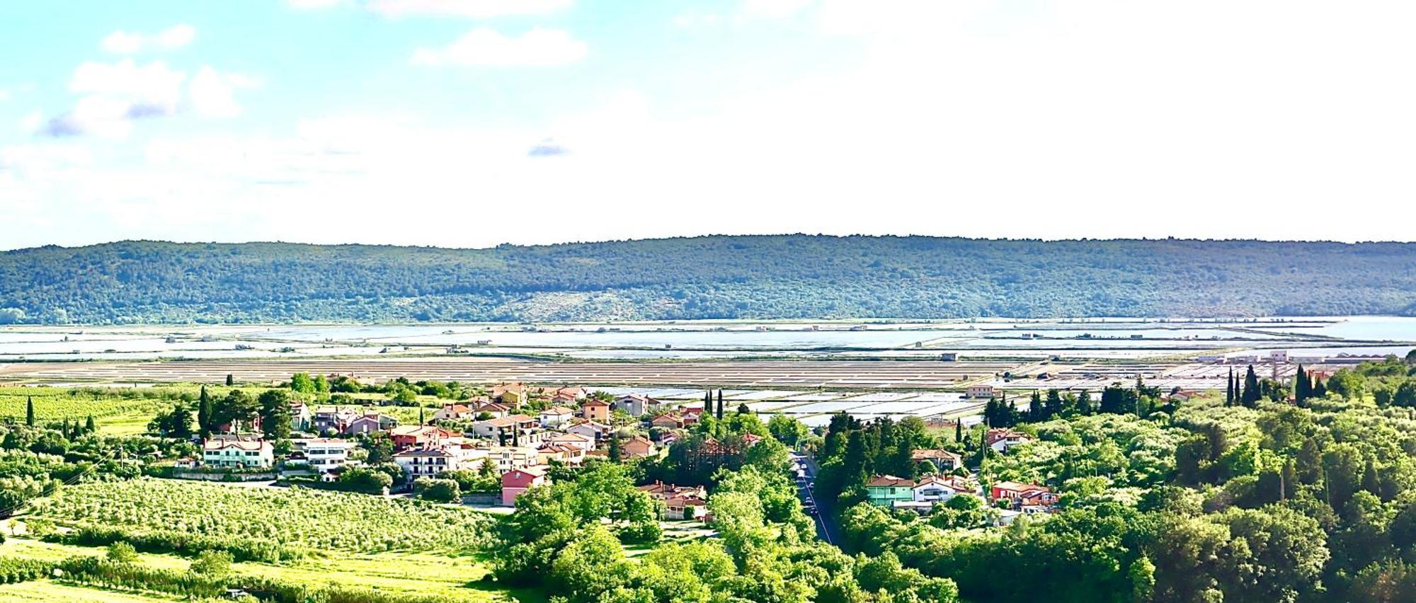 Sea View Olive Retreat Leilighet Portorož Eksteriør bilde