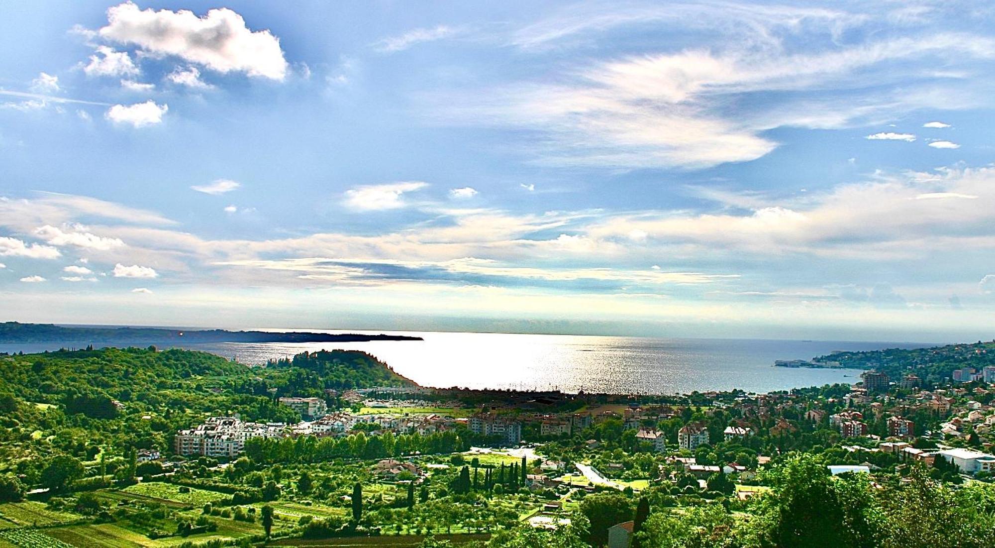 Sea View Olive Retreat Leilighet Portorož Eksteriør bilde