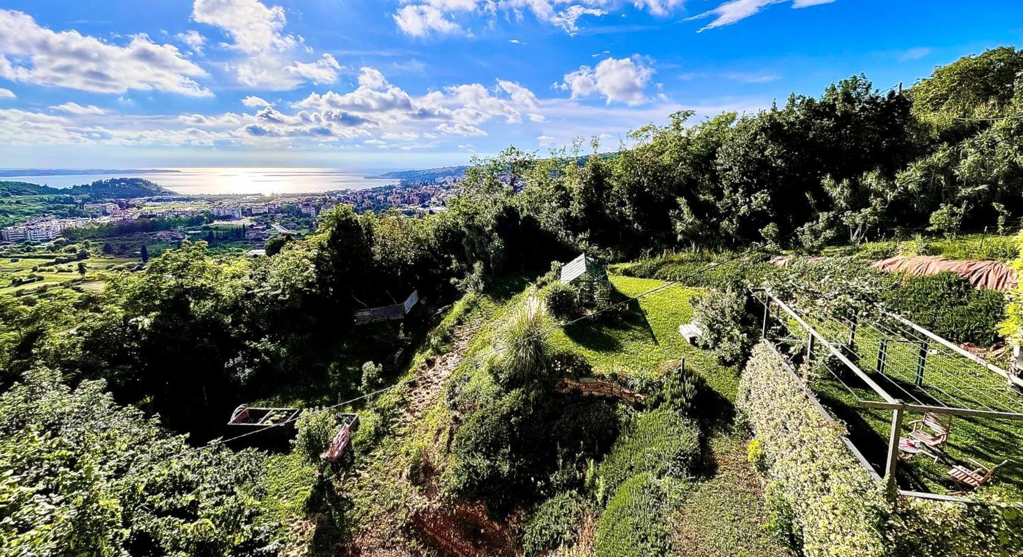 Sea View Olive Retreat Leilighet Portorož Eksteriør bilde